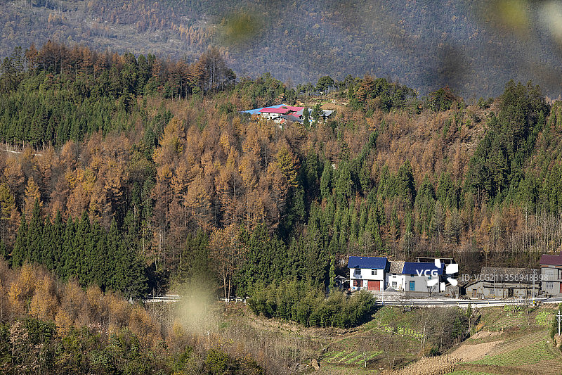 湖北建始长岭岗，五彩斑斓美如画图片素材