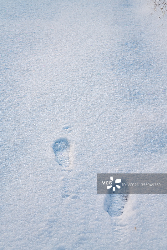 雪中足迹图片素材