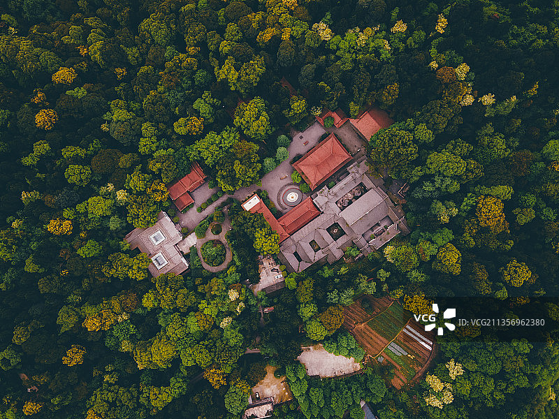 林中寺（仍在闭园中的青城山普照寺）图片素材