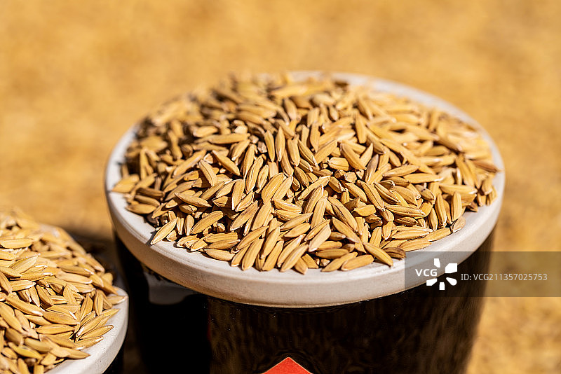 秋季丰收的稻谷粮食图片素材