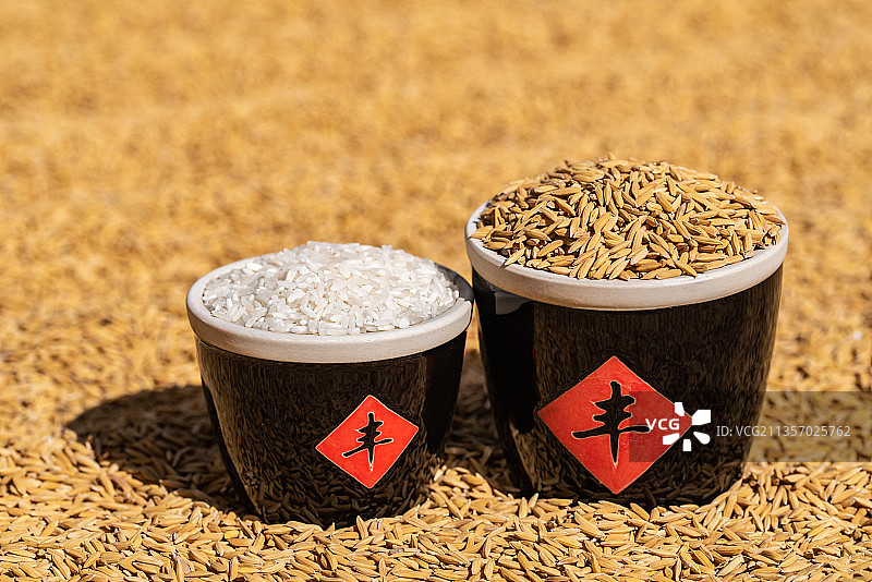 秋季丰收的稻谷粮食图片素材