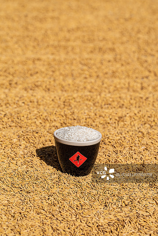 秋季丰收的大米粮食图片素材