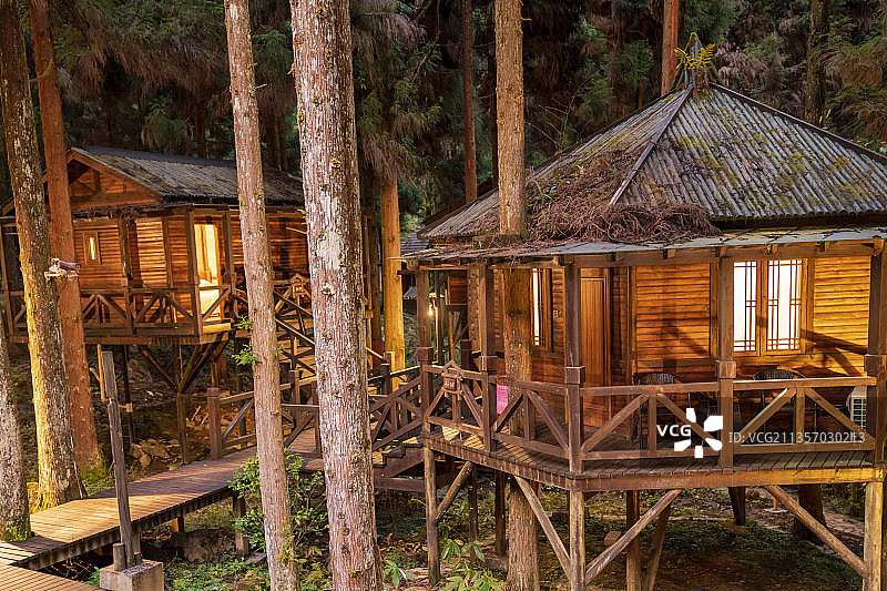 树上宾馆图片素材