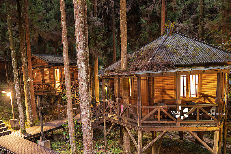 树上宾馆图片素材