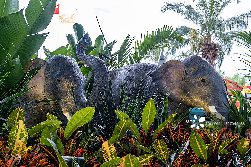 中国云南省西双版纳傣族自治州景洪市图片素材