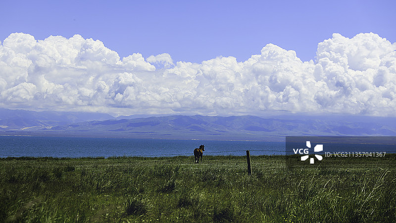 自由之地～青海湖图片素材