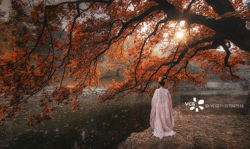 颐和园秋季景色图片素材