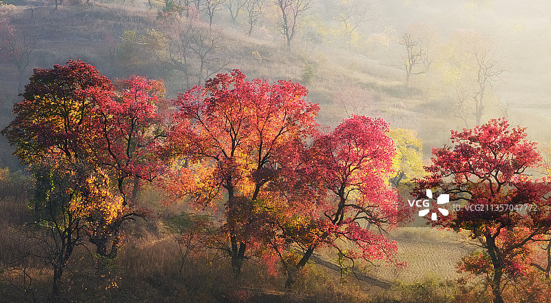 大美中国图片素材