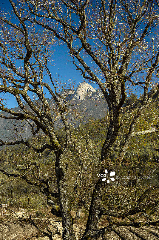 罗田红叶图片素材