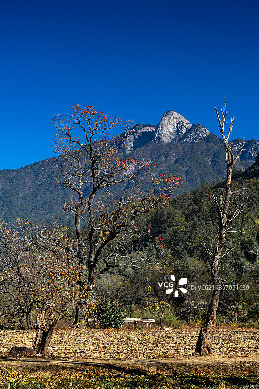 罗田红叶图片素材