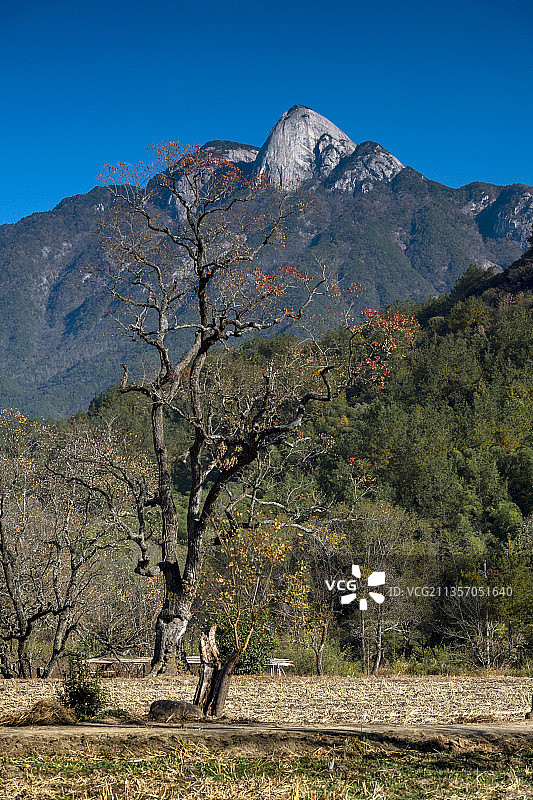 罗田红叶图片素材