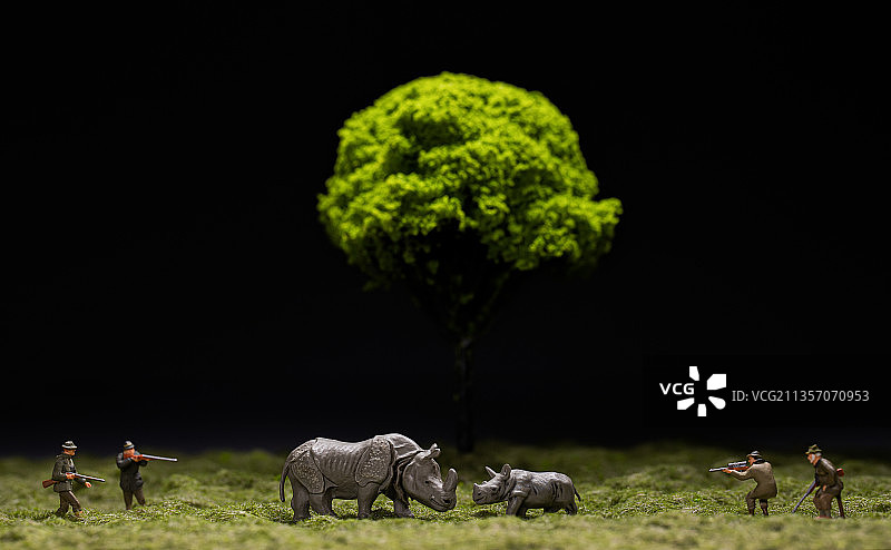 世界野生动植物日图片素材