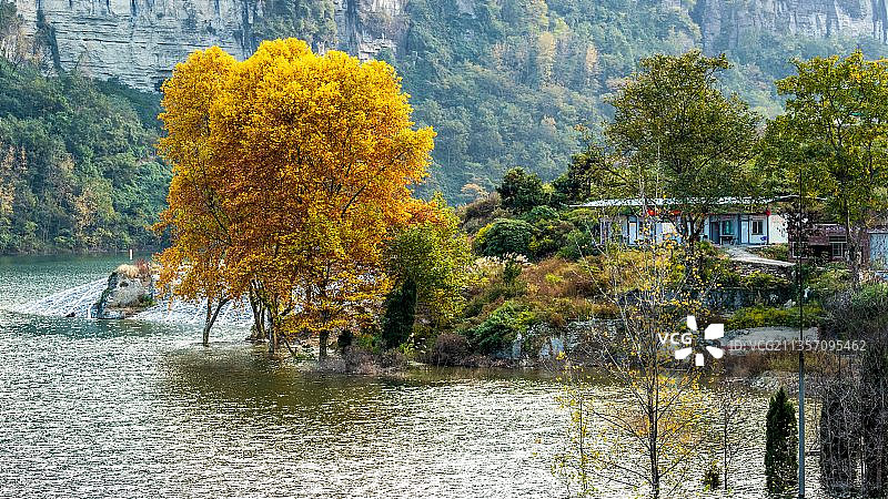 2021年11月10日在重庆市南川区金佛山拍摄的五彩秋色“越图片素材