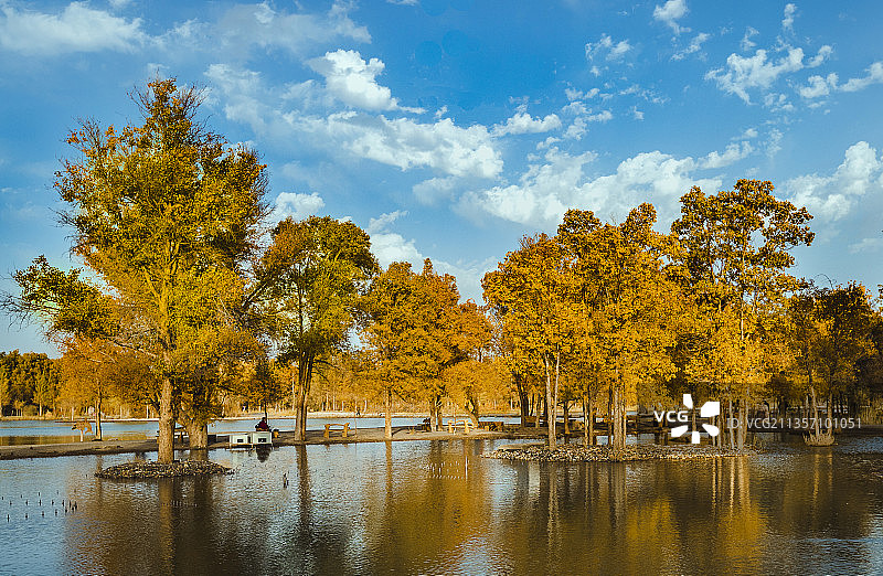 酒泉敦煌千年胡杨林风情园图片素材