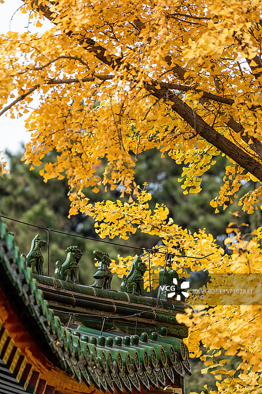 北京香山大永安禅寺图片素材
