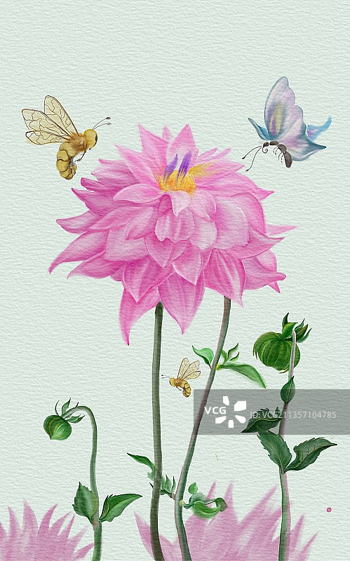 花与蝶图片素材