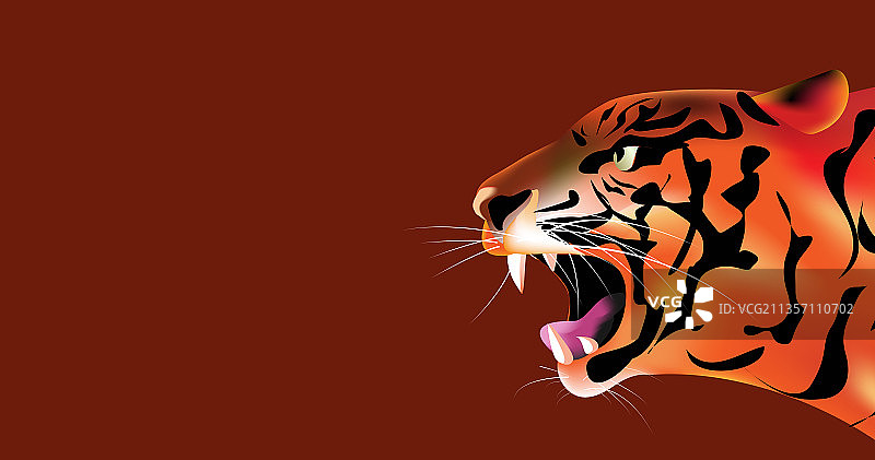 今日虎威发发图片素材