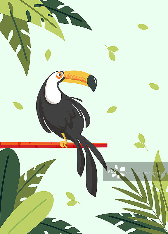 野生动物封面扁平图案设计图片素材