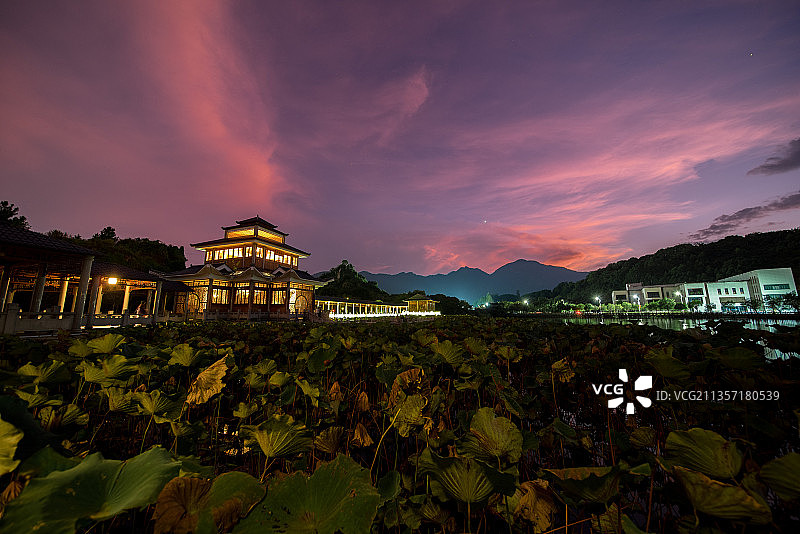 福州大学 福友阁 仿古阁楼 荷花池 晚霞图片素材
