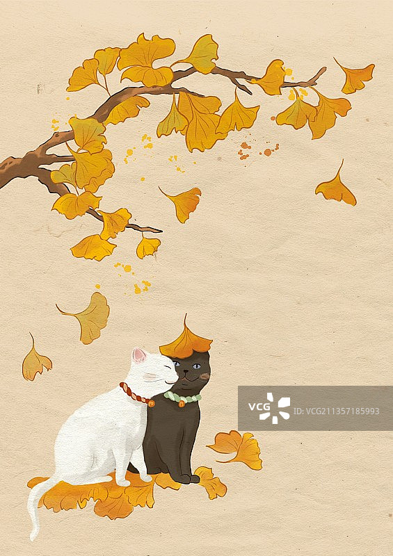 叶落知秋图片素材