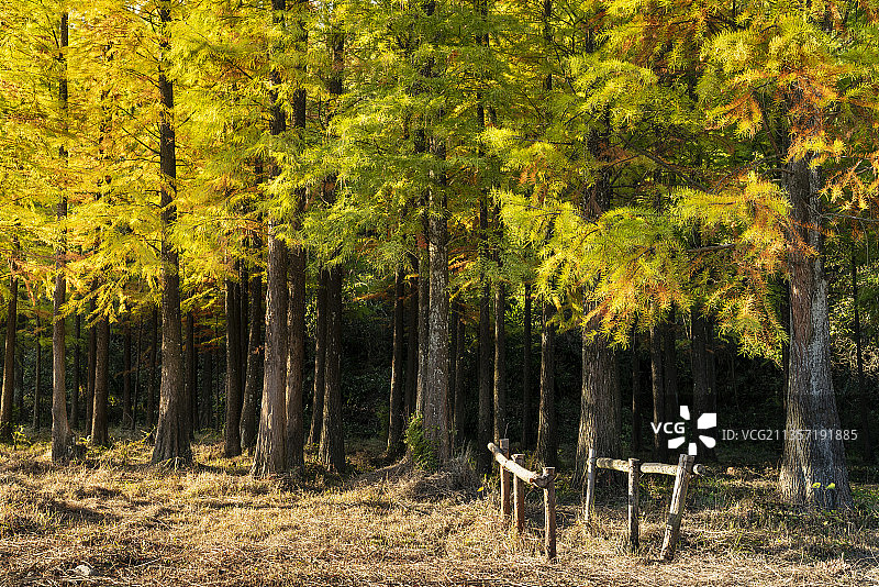 南岭山脉（广东乳源）秋色图片素材