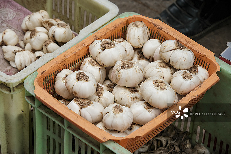 鲜百合图片素材
