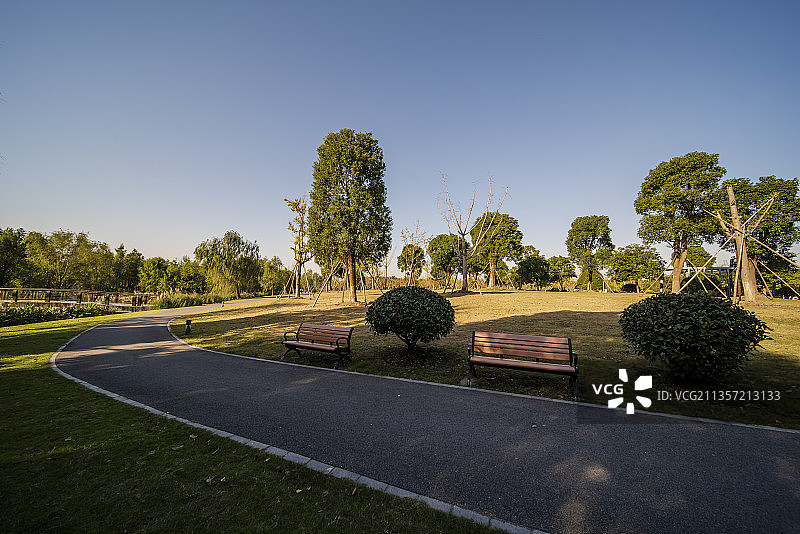 香樟树 九科绿洲 上海图片素材