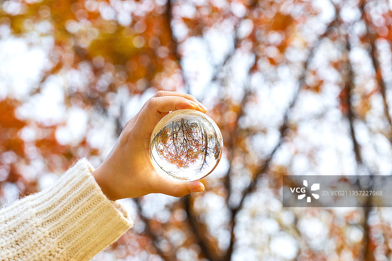 人的手,拿着,水晶球,秋色图片素材