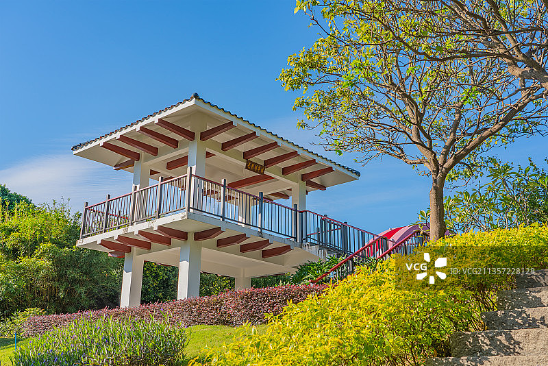 广州玉树公园图片素材