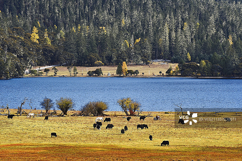 九龙秘境图片素材
