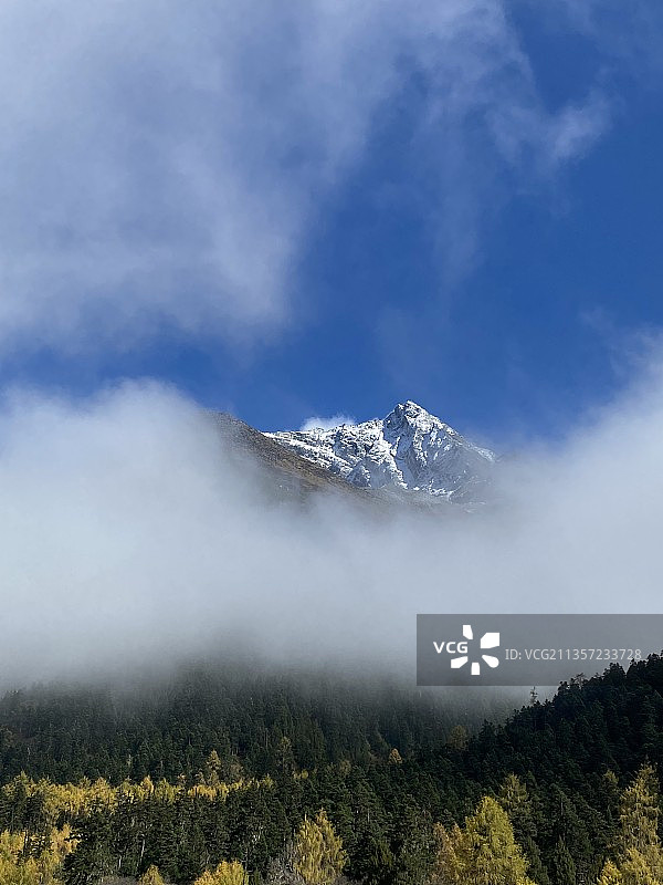 毕棚沟秋天的雪山图片素材