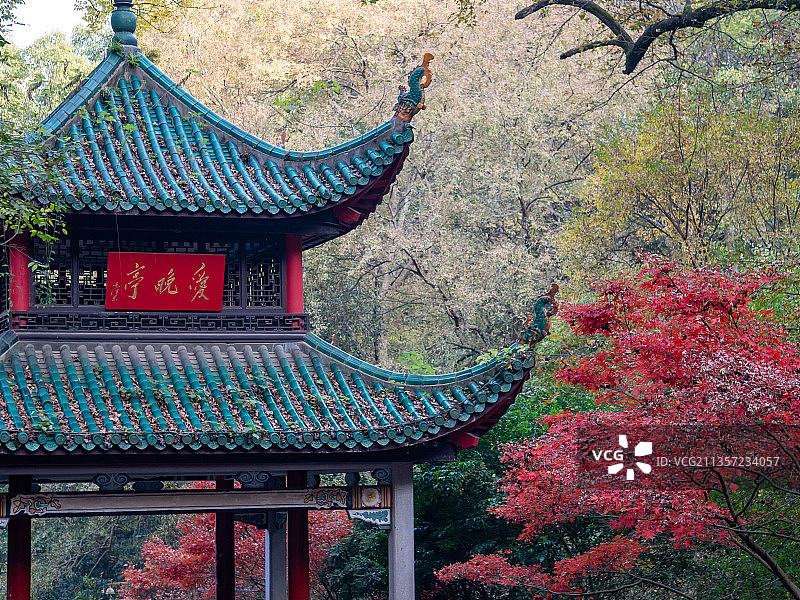 长沙爱晚亭图片素材