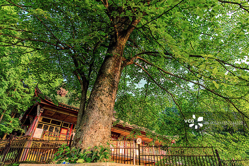 成都都江堰青城山天国寺图片素材