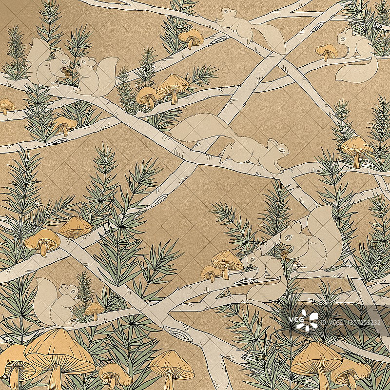 树林中的松鼠图片素材