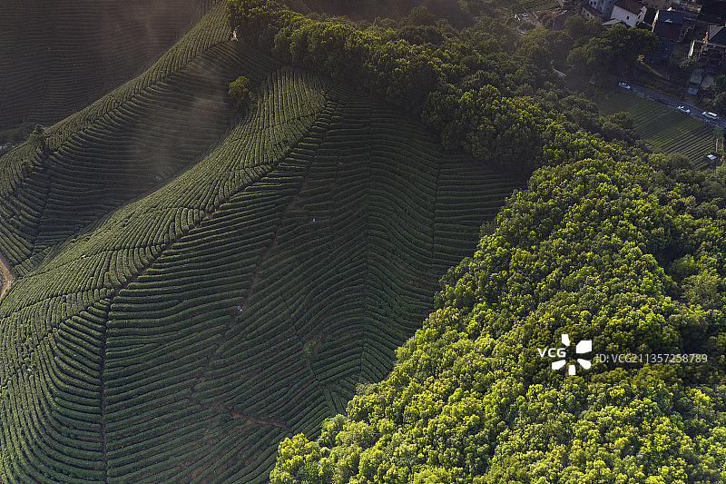 杭州龙坞镇西山森林公园图片素材