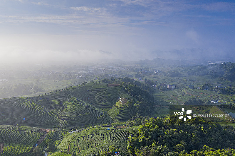 杭州龙坞镇西山森林公园图片素材