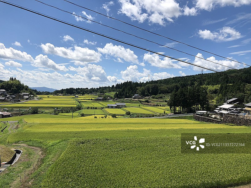 农业田顶天景观图片素材