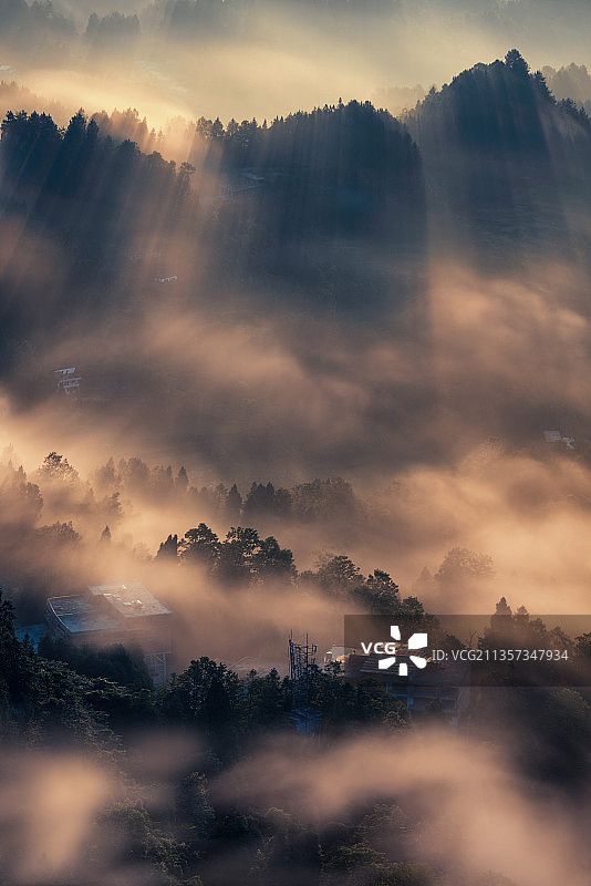 贵州省习水县飞鸽林场风光图片素材
