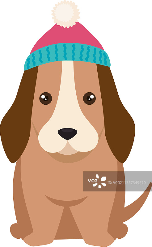 戴着冬帽的狗图片素材