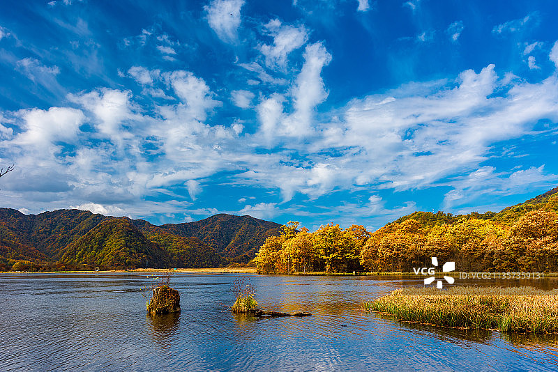 神农架大九湖秋色图片素材