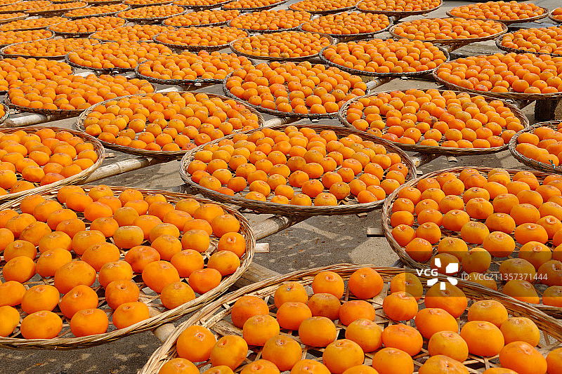 晒柿子图片素材