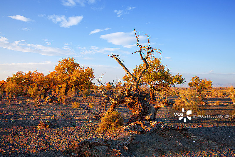 新疆风光图片素材