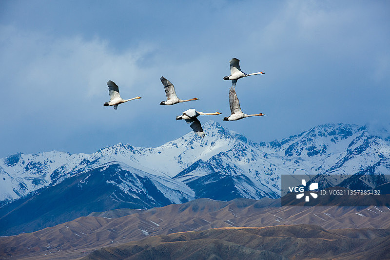 新疆风光图片素材