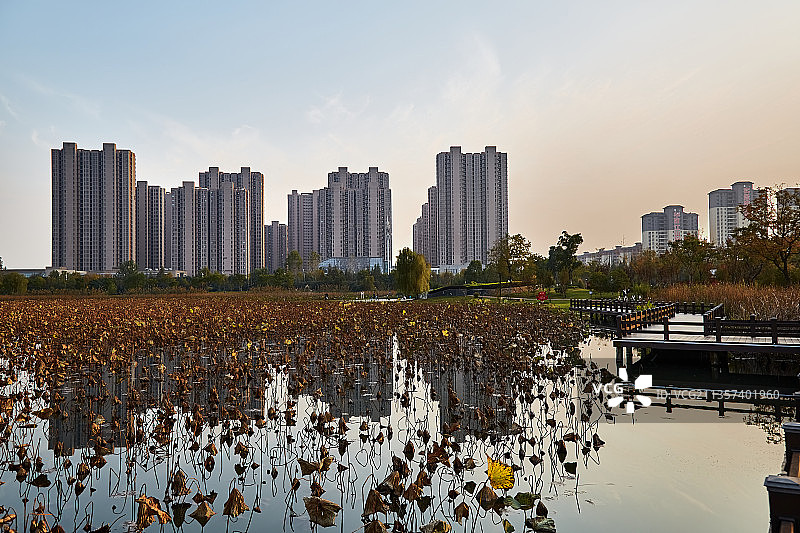 芜湖市三山区西湖湿地公园图片素材