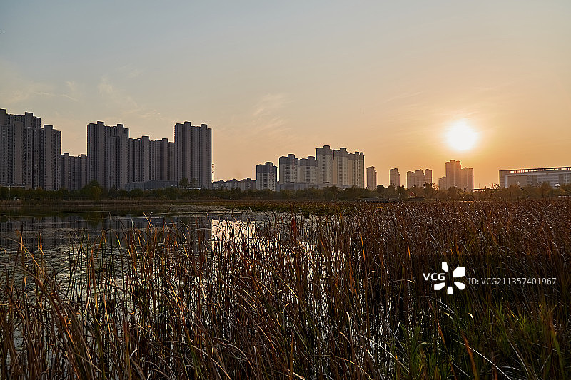 芜湖市三山区西湖湿地公园图片素材