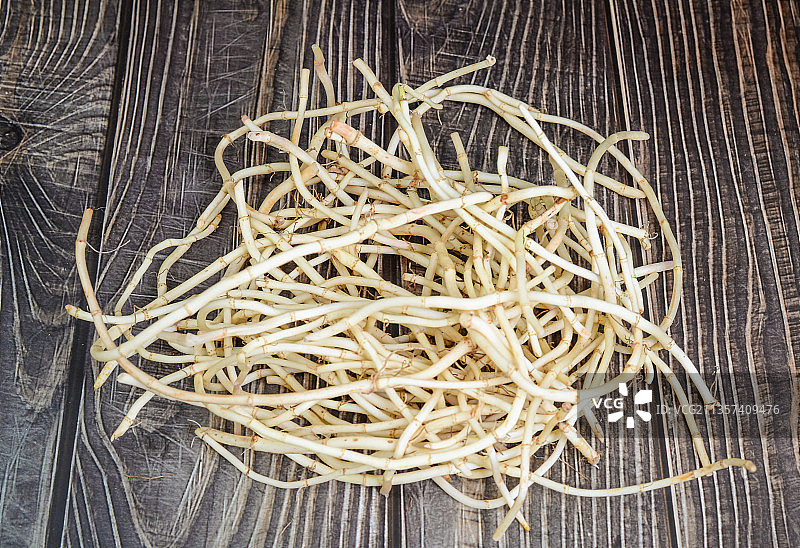 折耳根 鱼腥草图片素材