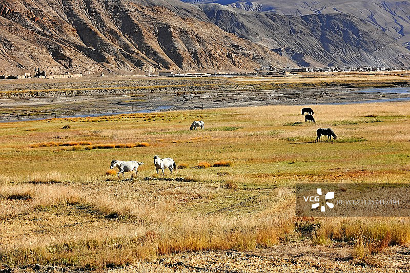 西藏，日喀则风景图片素材