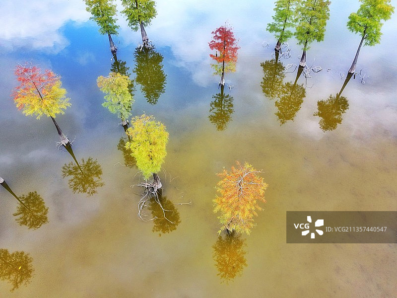 秋天的童话图片素材