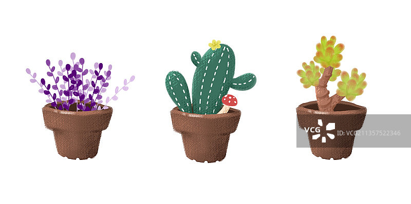 多肉植物素材图片素材