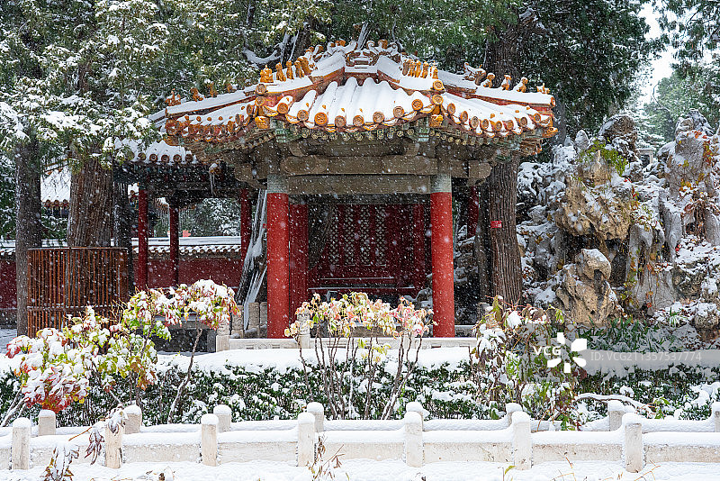 故宫御花园雪景（玉翠亭）图片素材
